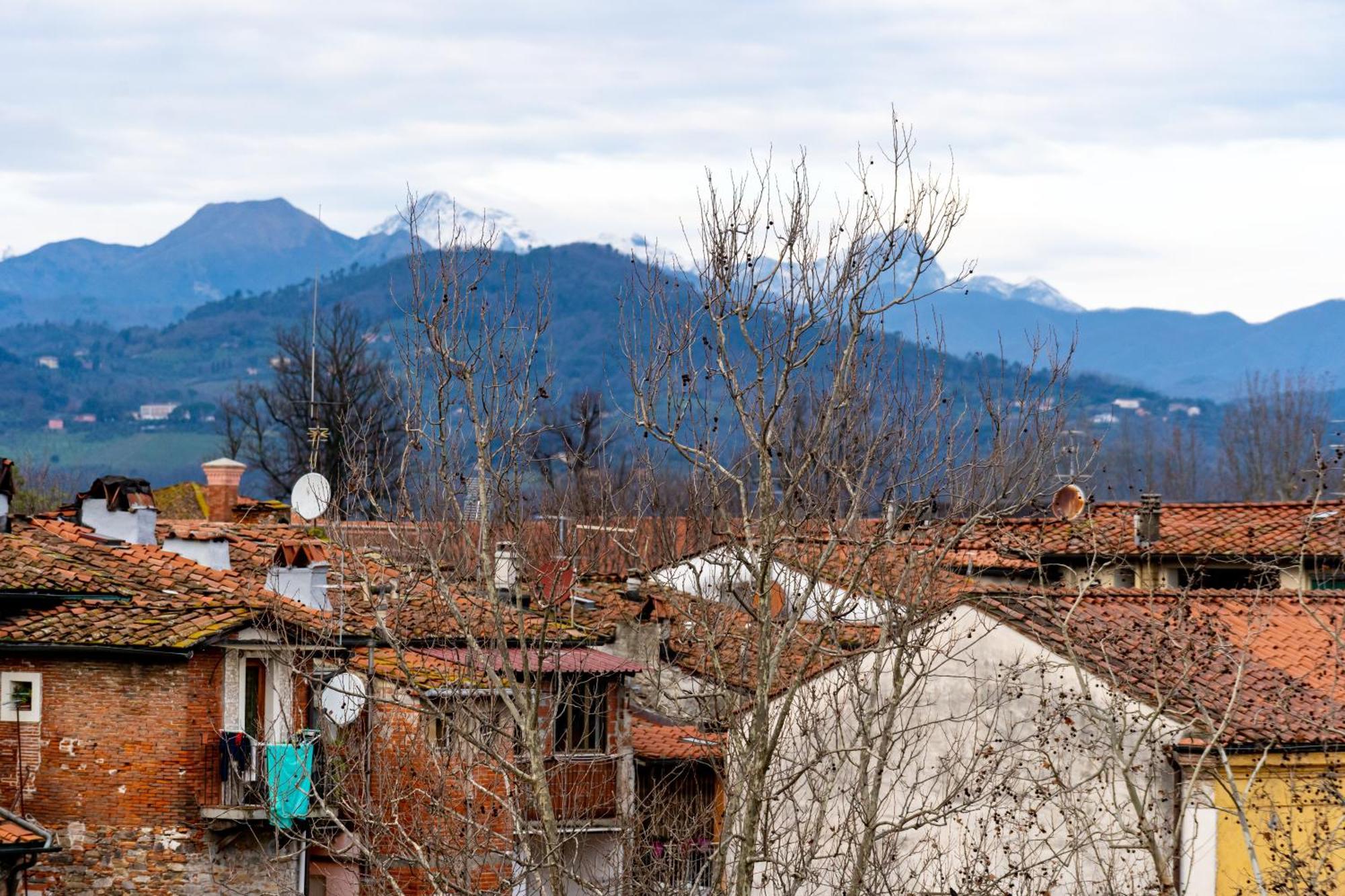 Cozy Apartment With A View On The City Walls Lucca Eksteriør billede